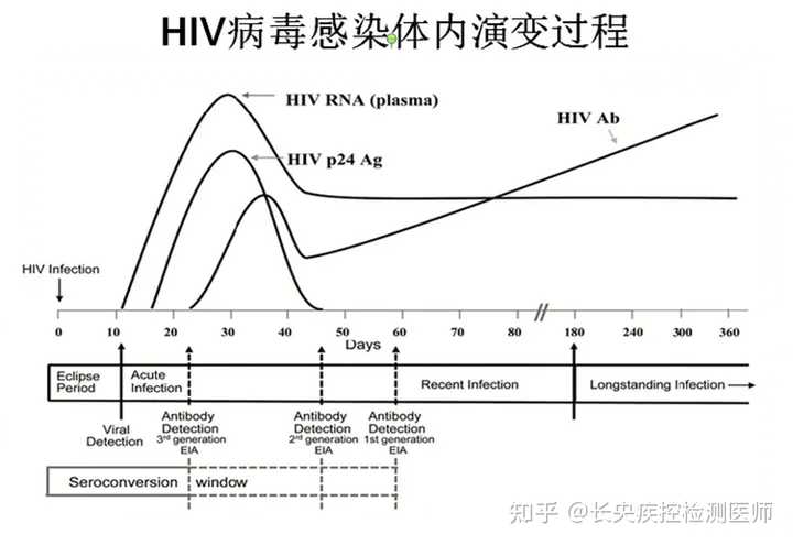 最新艾滋多久可以排除,最新艾滋感染排除时间，了解并战胜恐惧的关口