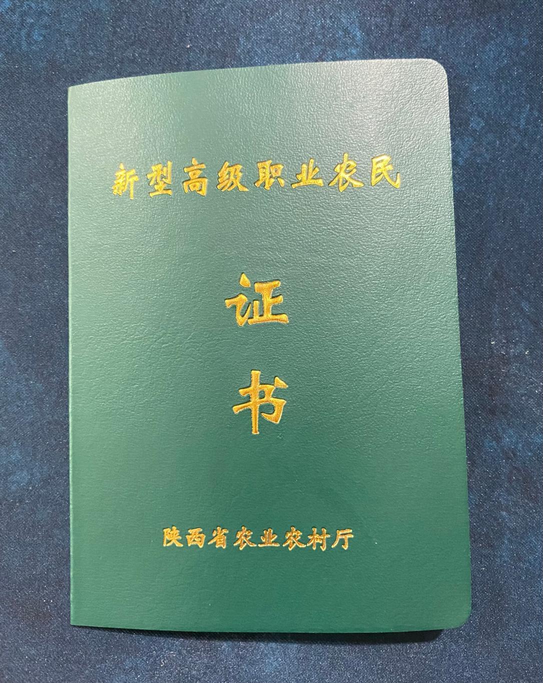 最新国家职业资格证书一览表,最新国家职业资格证书一览表及其重要性