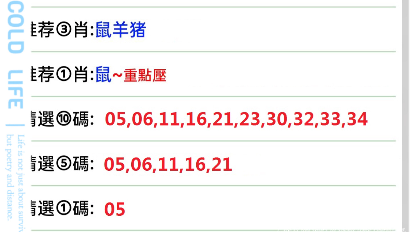 新澳门开奖结果 开奖号码,新澳门开奖结果及其开奖号码，探索与解析