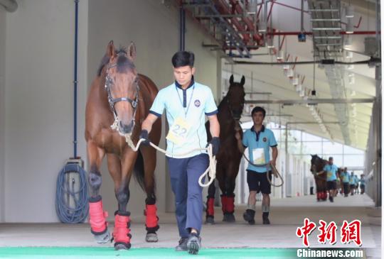 香港内部马料免费资料亮点,香港内部马料免费资料亮点，探索赛马运动的魅力与激情