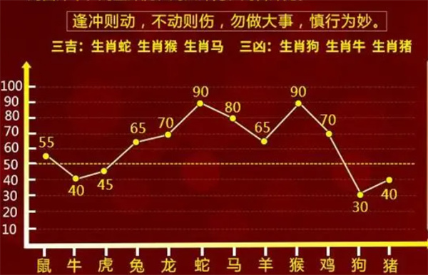 婆家一肖一码100,婆家一肖一码100，深度解读与探索