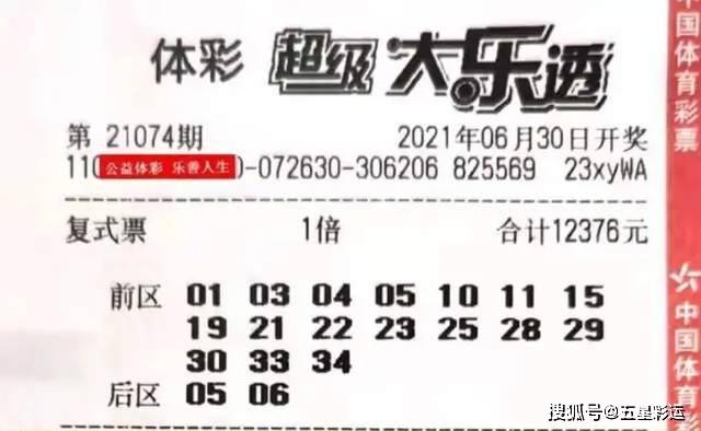 2024澳门特马今晚开奖结果出来,澳门特马今晚开奖结果揭晓，期待与惊喜交织的时刻