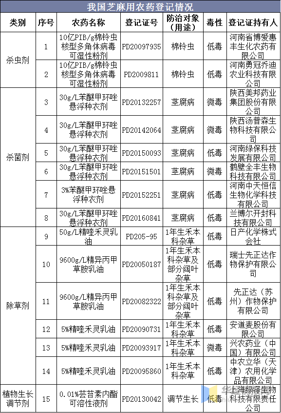 2024年12月31日 第20页