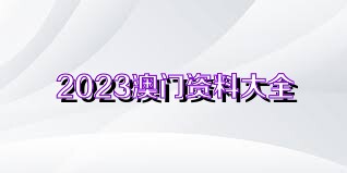 2024澳门资料大全正版资料,澳门资料大全正版资料，探索2024年澳门的无限魅力与机遇