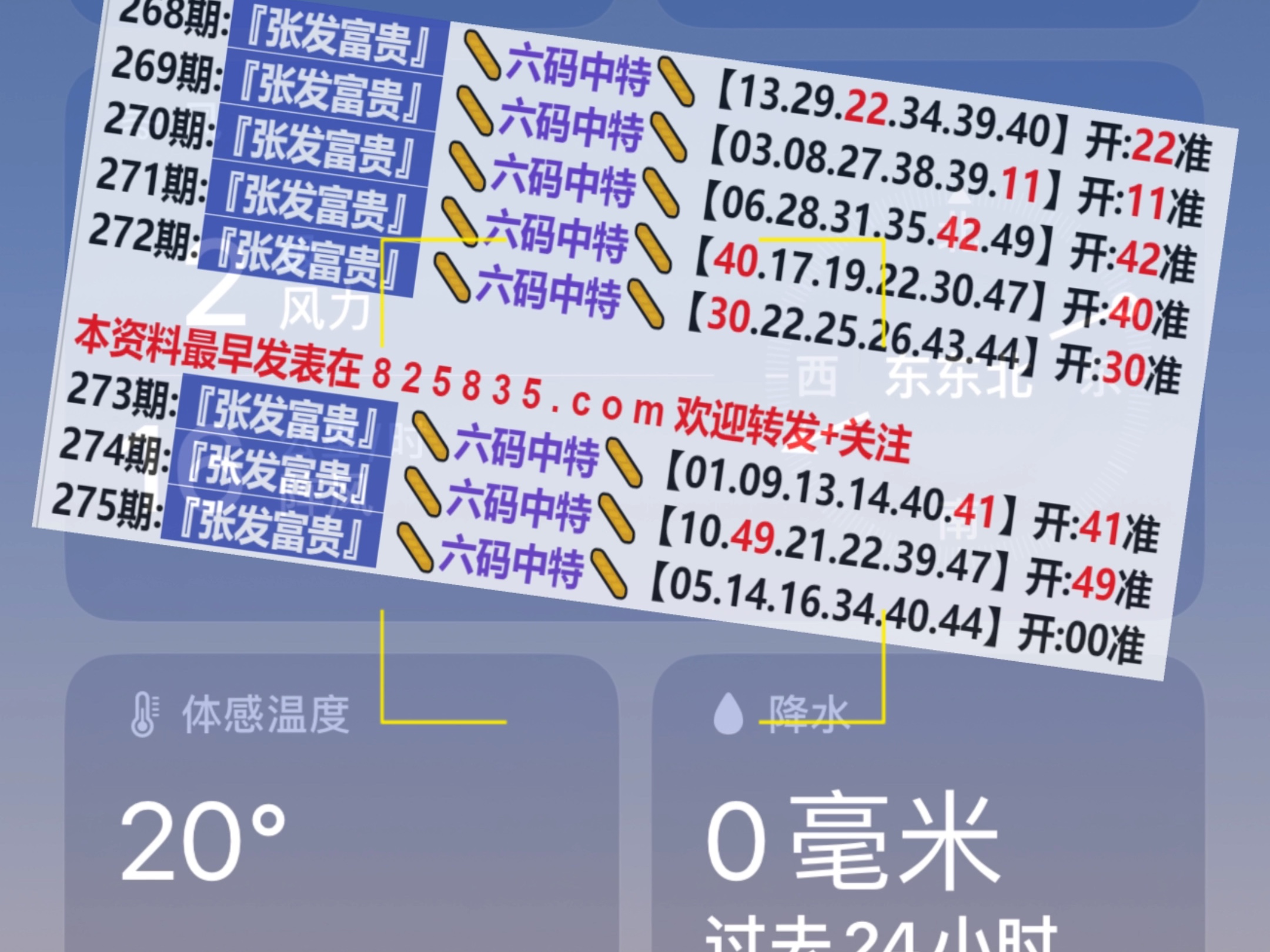 2024新奥门天天开好彩大全85期,探索新奥门天天开好彩，85期精彩回顾与展望