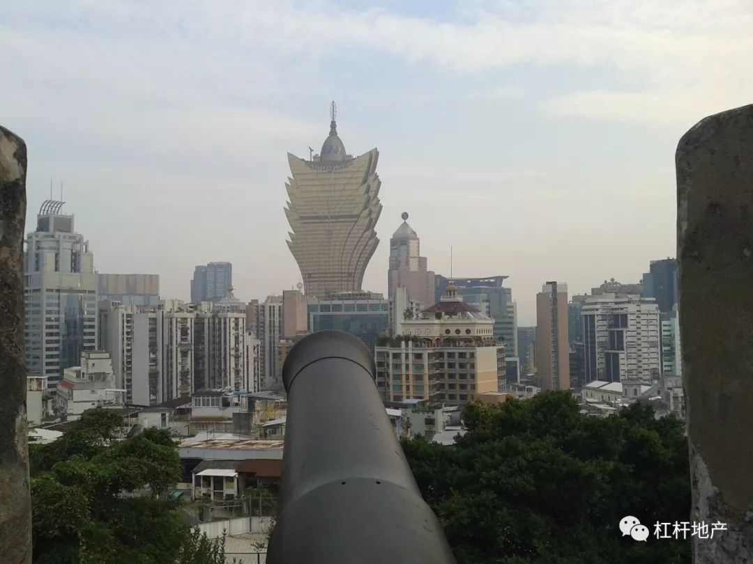 新澳门最准一肖,新澳门最准一肖，探寻幸运之轮的奥秘