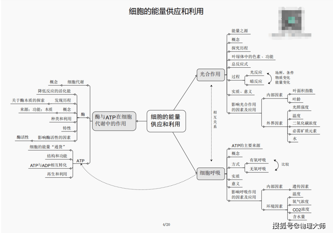 白小姐三肖三期必出一期开奖哩哩,白小姐三肖三期必出一期开奖的秘密揭晓——深度解析彩票背后的秘密与机遇