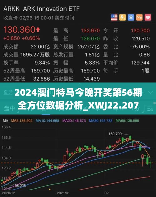 2025澳门特马今晚开什么,澳门特马今晚开什么，探索随机性与预测之间的微妙关系