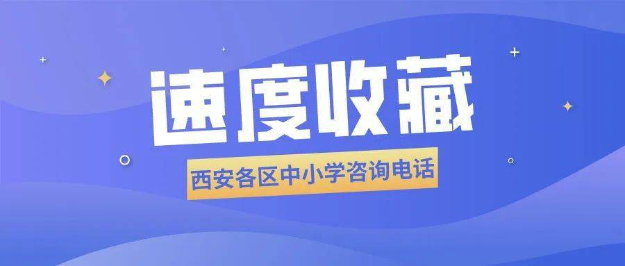 2025年2月15日 第40页