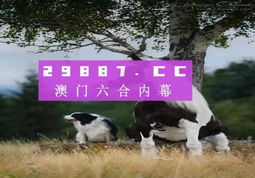 新澳门正版免费资料怎么查018期 04-18-29-35-37-44N：42,新澳门正版免费资料查询方法详解，如何查看第018期及特定号码组合