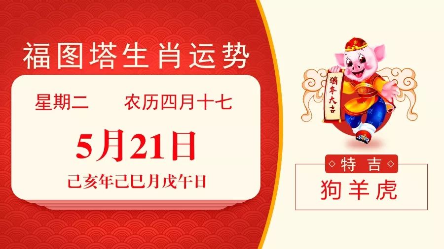 2025年2月20日 第31页