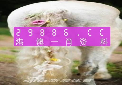 新澳门资料全年免费精准027期 01-05-10-26-27-34U：35,新澳门资料全年免费精准解析，探索第027期的奥秘（附01-05-10-26-27-34U，35详细分析）