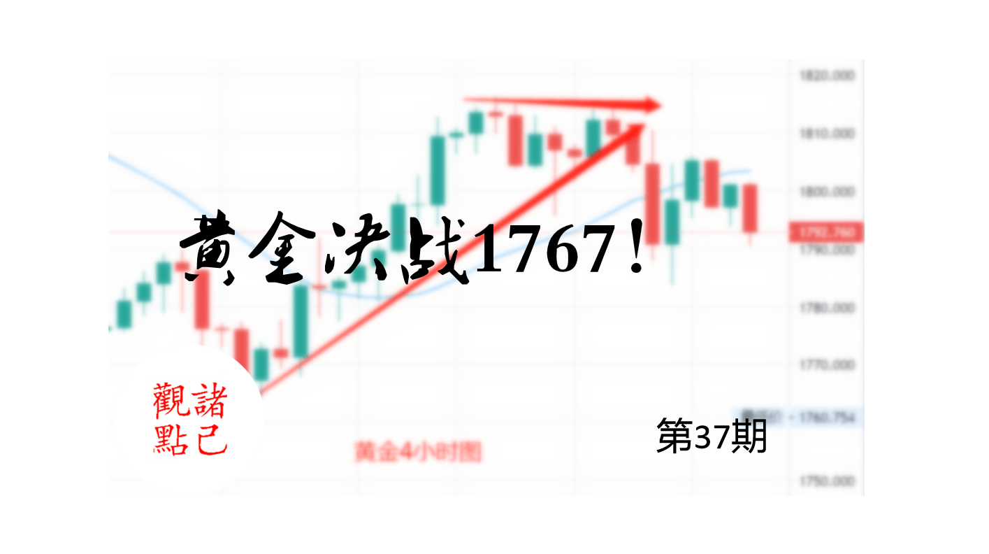 澳门今晚上开的特马015期 06-10-17-30-39-40Y：06,澳门今晚上开的特马015期，探索数字背后的故事与期待